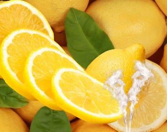 CÍTRICOS – Ätherisches Öl Zitrone / Digitale Broschüre Aromatherapie für Anfänger