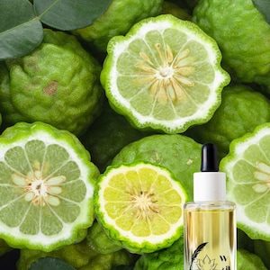CITRUS – Ätherisches Öl Bergamotte | Digitale Broschüre Aromatherapie für Anfänger