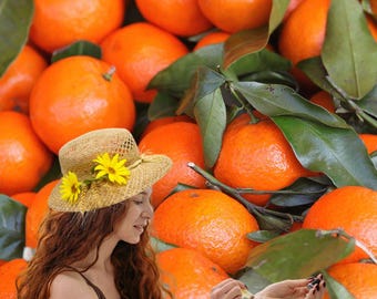 Digitale Broschüre Ätherisches Öl Mandarine – Guía de aromaterapiaCITRUS - Mandarinenöl