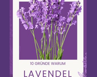 10 raíces como lavanda