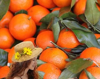 Folleto digital: Aceite esencial de mandarina / Guía de aromaterapia para principiantes