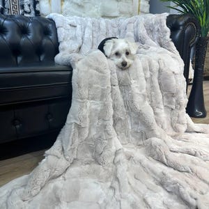 Puede incluir: Una manta de piel sintética gris claro sobre un sofá de cuero negro. Un perro pequeño blanco con marcas negras está acurrucado en la manta. La manta tiene una apariencia texturizada y afelpada, creando una estética acogedora y atractiva.
