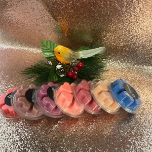 Könnte beinhalten: Eine Auswahl an Wachsschmelzen in verschiedenen Farben, darunter Rosa, Braun, Lila, Pfirsich und Blau, angeordnet in transparenten Kunststoffbehältern. Eine dekorative Vogelfigur mit gelbem Körper und grauem Schwanz sitzt auf einem Bett aus Grün und roten Beeren.