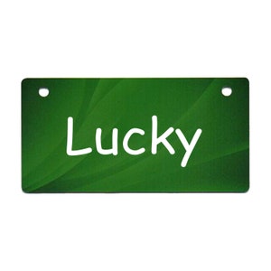 May include: Green rectangular name tag with rounded corners and two holes. The name "Lucky" is written in white on the tag.