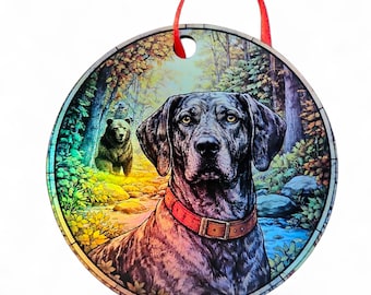 Adorno holográfico para perro Plott Grey Brindle con oso