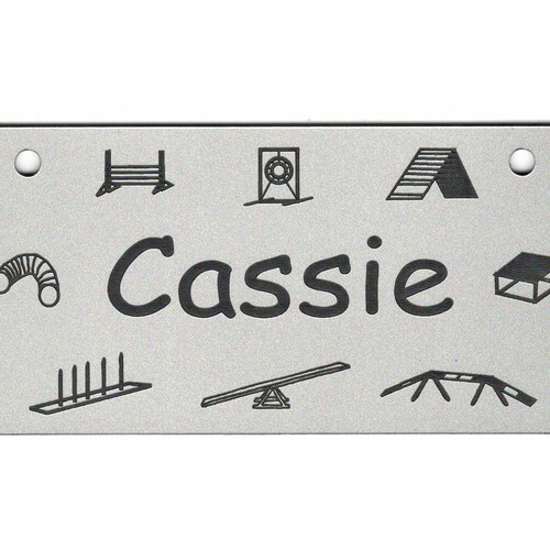 View of Kennel Crate Pet Tag Dog Bone Name Plate Paws With HEARTS | Etsy