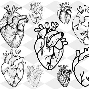 May include: A set of nine black and white line drawings of anatomical hearts. The hearts are drawn in a detailed and realistic style, showing the chambers, valves, and other internal structures.