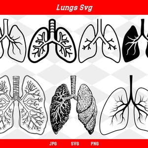 Op de afbeelding: Een set zwart-wit illustraties van menselijke longen in verschillende stijlen. De illustraties omvatten gedetailleerde tekeningen van de bronchiën en alveoli. De afbeeldingen zijn geschikt voor gebruik in medische leerboeken, educatief materiaal of als decoratieve elementen.