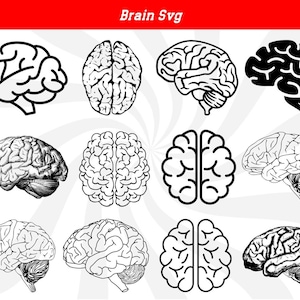 Puede incluir: Un conjunto de diez ilustraciones de cerebro en blanco y negro en varios estilos. Las ilustraciones incluyen vistas laterales, vistas superiores y representaciones detalladas del cerebro.