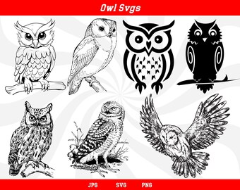 Owl svg bundle, owl cut files, owl clipart, birds svg, owl silhouette, owl cricut, owl svg, owl vector, owl shirt, birds clipart, owl png