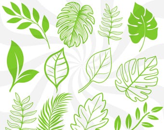 Leaves svg bundle, leaves svg files, leaf svg, leaves clipart, leaves vector, leaves cut files, paper leaves svg, palm leaves svg