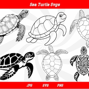 Könnte beinhalten: Ein Satz von fünf schwarzen und weißen Meeresschildkröten-SVGs. Die Schildkröten sind in verschiedenen Posen, darunter Schwimmen, Ausruhen und nach oben schauen. Die SVGs sind perfekt für die Verwendung in Bastelprojekten, Scrapbooking und mehr.