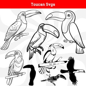 Tocan svg bundle, toucan silhouette, bird svg, cute toucan, toucan cut file, toucan bird svg, toucan vector, toucan clipart, toucan png