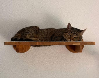 Cat platform "Basic" | Climbing wall for living room | Wooden platform with embedded carpet