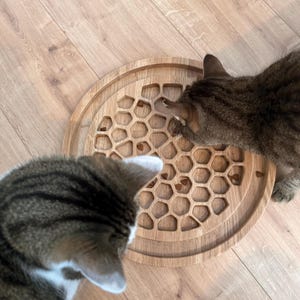 May include: A wooden cat puzzle feeder with a honeycomb design. Two tabby cats are eating from the feeder. The feeder is round and made of light-colored wood, with a series of hexagonal cutouts.