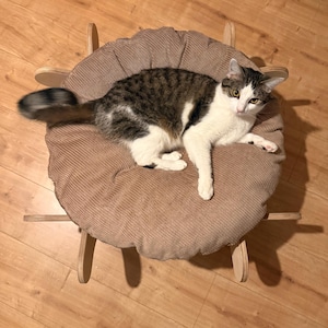 Könnte beinhalten: Ein Katzenbett mit einem braunen Cordkissen und einem Holzrahmen. Die Katze mit weiß-grauen Markierungen liegt auf dem Kissen. Das Bett ist kreisförmig, und der Holzrahmen hat ein einzigartiges, dekoratives Design.