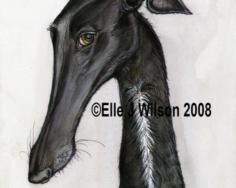 Greyhound Art Print