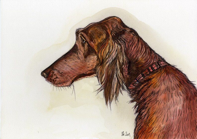 Madra Rua Red Setter Art DOG Print image 1