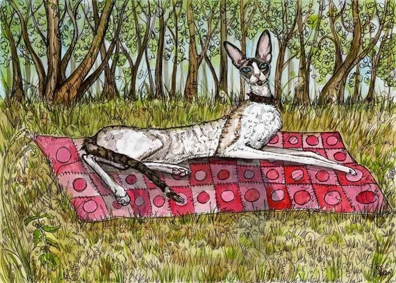 CAT ART Cornish Rex