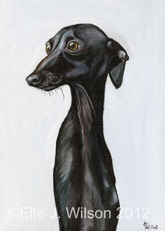 greyhound art
