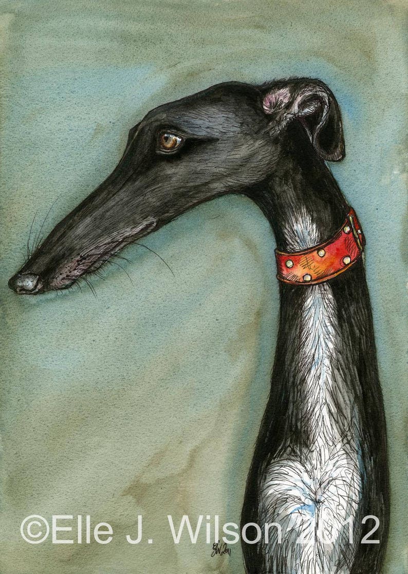 Greyhound Art Print image 1