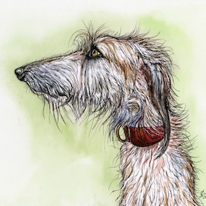 LURCHER, Dogs, Dog Art, Giclee Print, Artwork, Sighthound