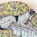 see more listings in the GREYHOUND ART  PRINTS section