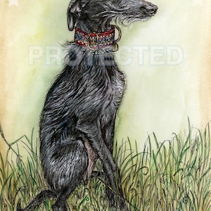 Lurcher Art Print