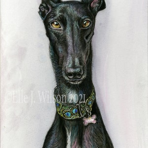 Greyhound Art Dog Print