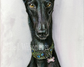 Greyhound Art Dog Print