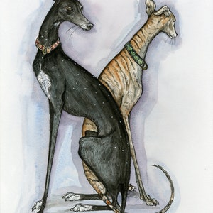 Greyhound Giclee Art Print: Signed Dog Fine Art