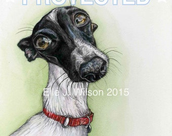 Italian Greyhound Dog Print