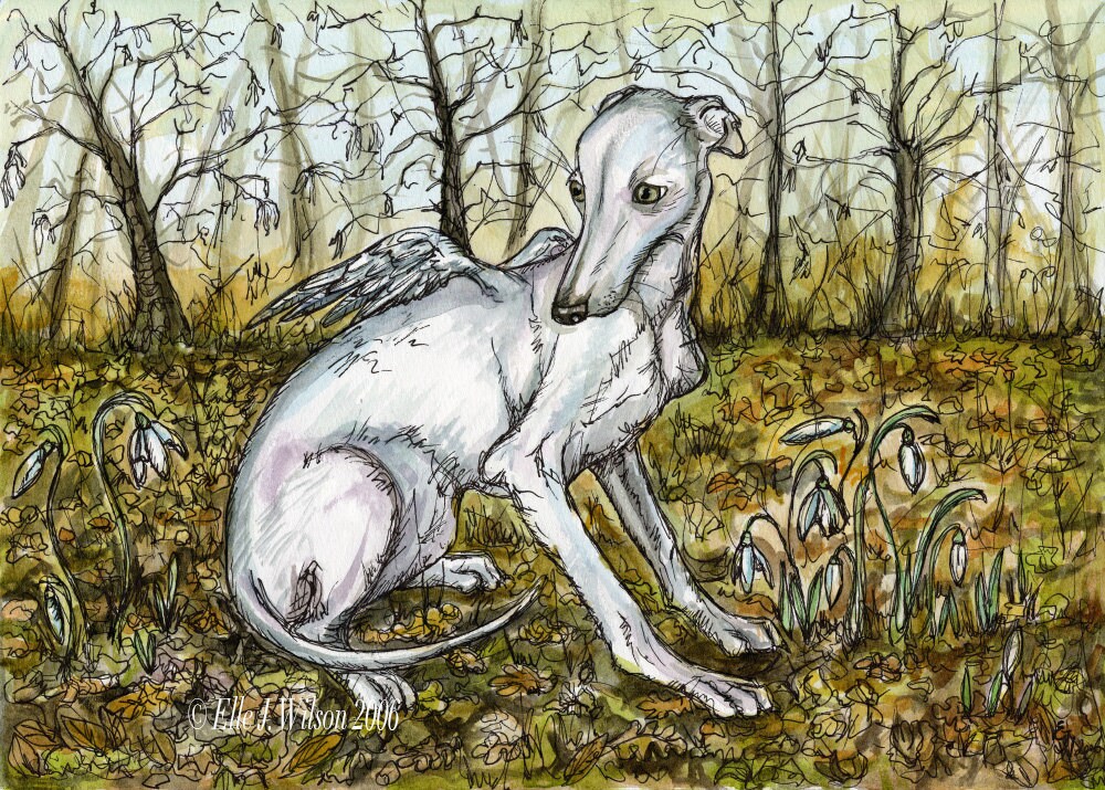 A Little Angel of Innocence - Italian Greyhound Art Dog Print