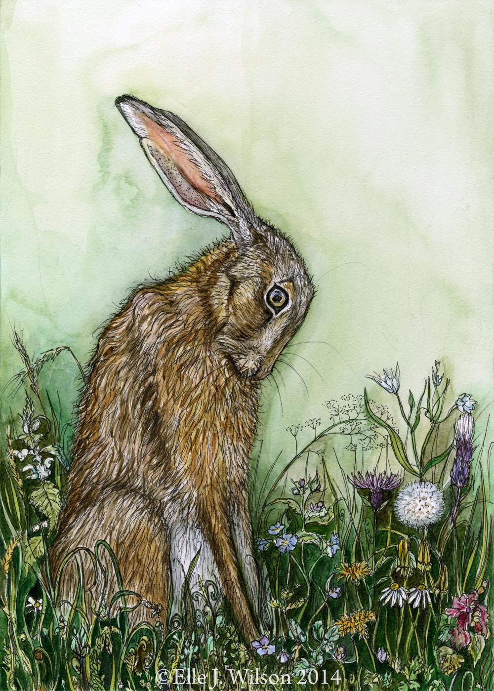 HARE Art Print Etsy
