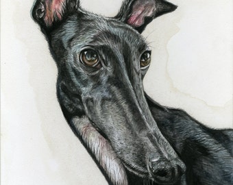 Greyhound Art Dog Print