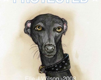 Italian Greyhound  Art Print