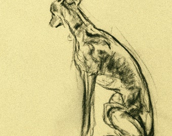 Dog Art Whippet Greyhound  Print