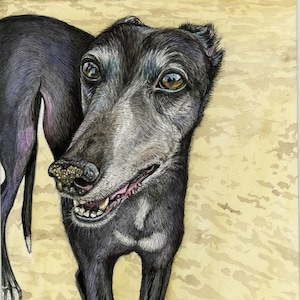 Greyhound Art Print