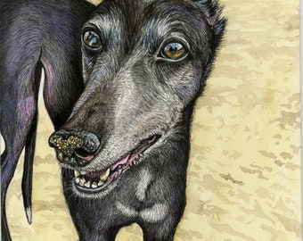 Greyhound Art Print