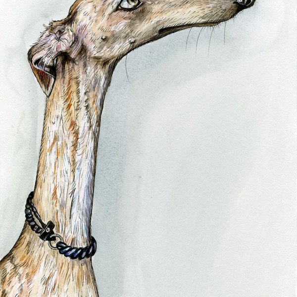 Greyhound Dog Print - 5 x 7 inch by Elle J. Wilson