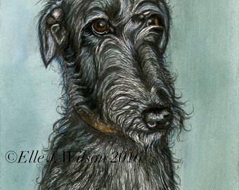 Deerhound Art Dog Print
