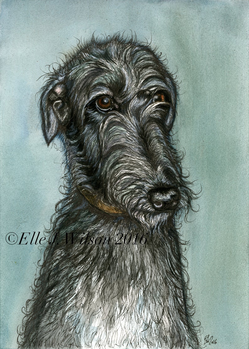 Deerhound Art Dog Print image 1