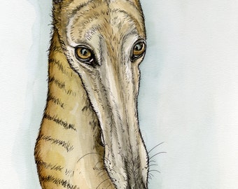 Greyhound Art Print