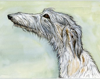 DOG ART- Lurcher Hound Print