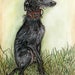 see more listings in the GREYHOUND ART  PRINTS section