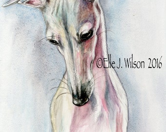 Italian Greyhound Art Print: Iggie Dog Portrait, Sighthound Giclee