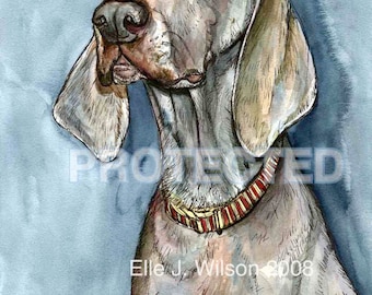 Weimaraner Dog Print Art