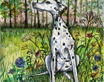 Dalmation DOG Art Print