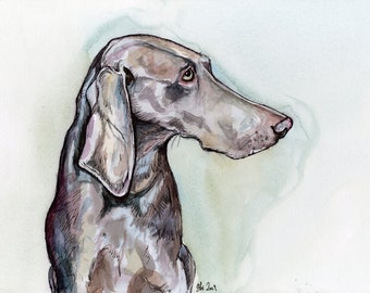 Weimaraner Art Dog Print