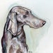 see more listings in the OTHER DOG PRINTS section